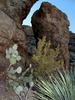 photo thumbnail #12