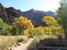 photo thumbnail #12