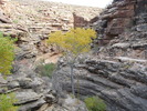 photo thumbnail #5