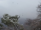 photo thumbnail #12