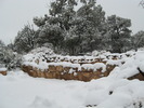photo thumbnail #2