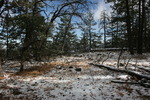 photo thumbnail #6