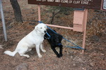photo thumbnail #14