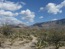 photo thumbnail #1