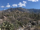 photo thumbnail #3