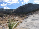 photo thumbnail #8