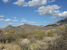 photo thumbnail #10