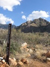 photo thumbnail #11