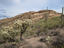 photo thumbnail #5