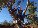 photo thumbnail #4