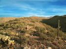 photo thumbnail #2