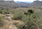 photo thumbnail #6
