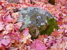 photo thumbnail #10