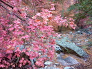 photo thumbnail #13