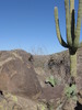 photo thumbnail #12