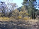 photo thumbnail #1
