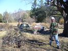 photo thumbnail #2