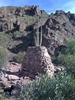 photo thumbnail #10
