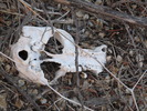photo thumbnail #12