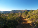 photo thumbnail #5