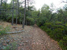 photo thumbnail #7