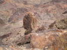 photo thumbnail #12