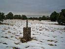 photo thumbnail #2