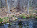 photo thumbnail #9