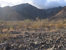 photo thumbnail #1