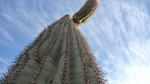 photo thumbnail #15
