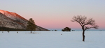 photo thumbnail #3
