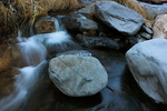 photo thumbnail #1