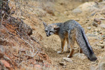 photo thumbnail #1