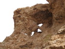 photo thumbnail #11