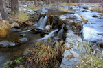 photo thumbnail #8