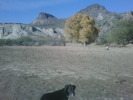photo thumbnail #2