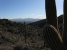 photo thumbnail #4