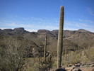 photo thumbnail #1