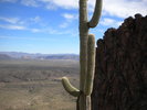 photo thumbnail #11