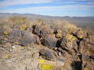 photo thumbnail #13