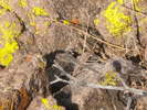 photo thumbnail #14