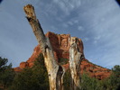 photo thumbnail #14