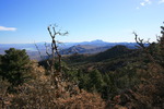 photo thumbnail #10