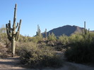 photo thumbnail #13