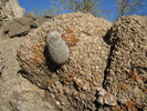 photo thumbnail #14