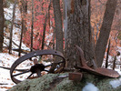 photo thumbnail #5