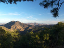photo thumbnail #7