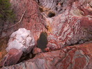 photo thumbnail #8