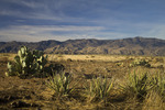 photo thumbnail #12