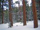 photo thumbnail #2